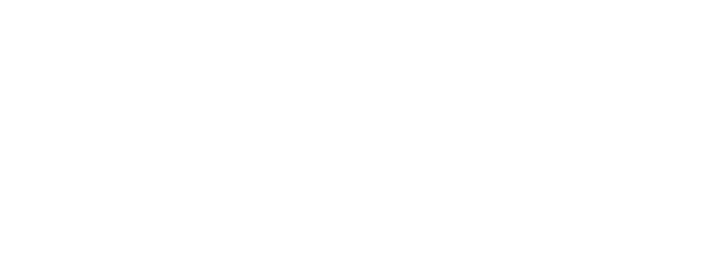 GVG — Gila Ventures Group